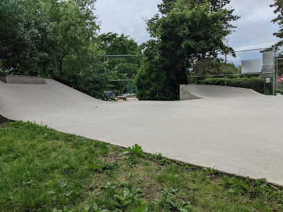Mount Pleasant Park Skateboard Park