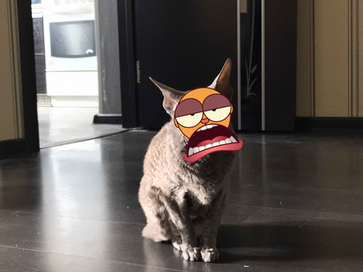 Sportswear Store «lululemon», reviews and photos, 1639 West End Boulevard, St Louis Park, MN 55416, USA