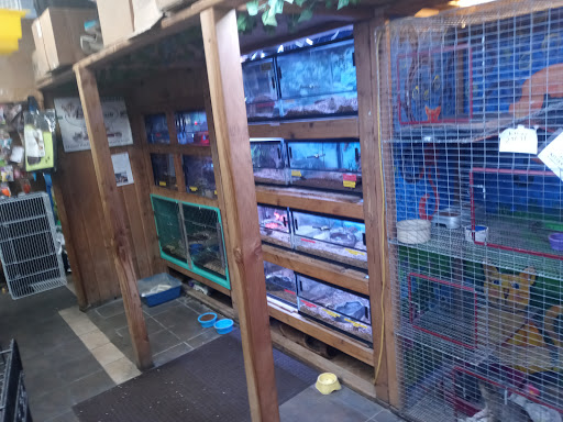 Pet Store «Critter Pet Shop», reviews and photos, 19309 Ecorse Rd, Allen Park, MI 48101, USA