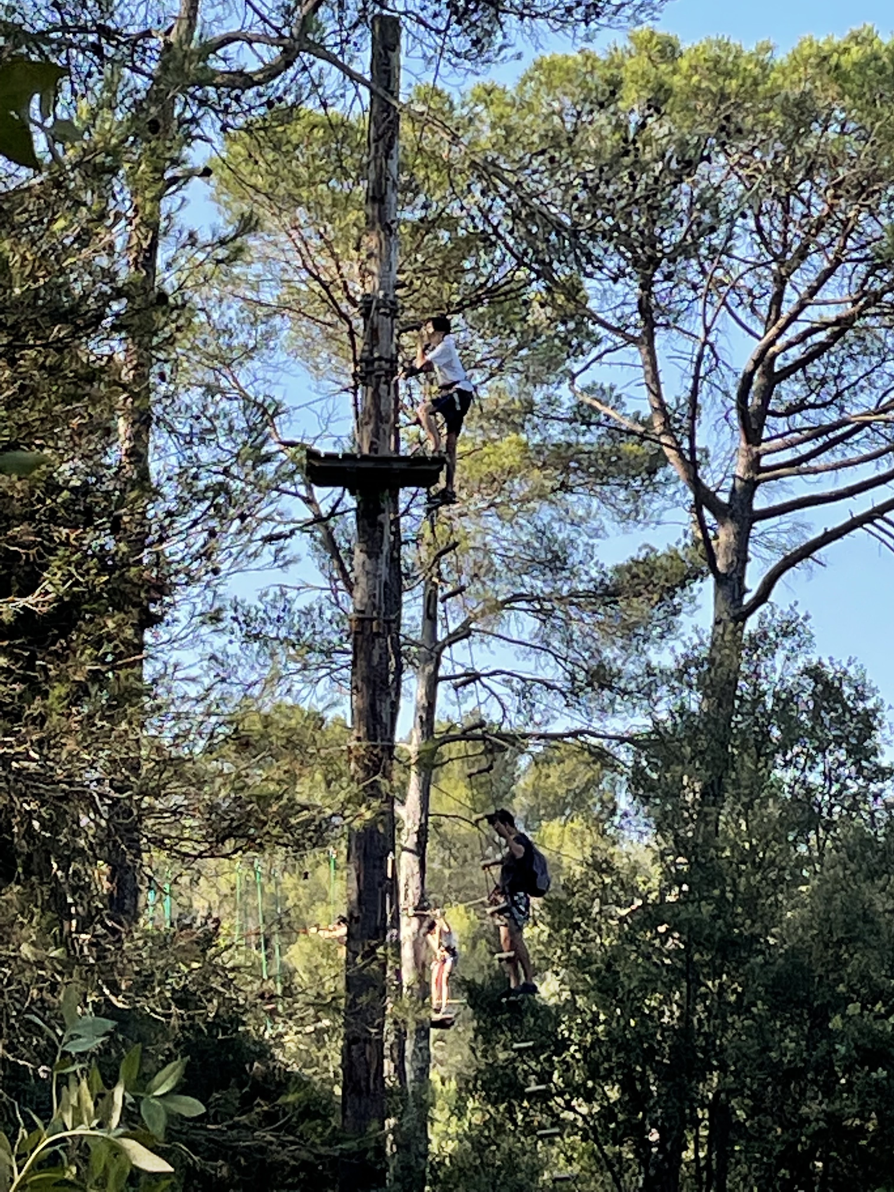 Photo n° 2 de l'avis de Nesyx. fait le 29/07/2021 à 17:11