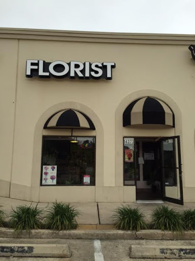 Xpressions Florist, 14373 Blanco Rd, San Antonio, TX 78216, USA, 