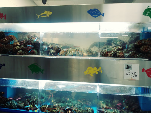 Grocery Store «Asia Mart», reviews and photos, 6103 E 86th St, Indianapolis, IN 46250, USA