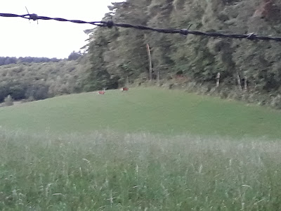Les Fraux à Camps-Saint-Mathurin-Léobazel