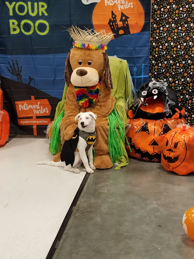 Pet Supply Store «PetSmart», reviews and photos, 7663 Arundel Mills Blvd, Hanover, MD 21076, USA