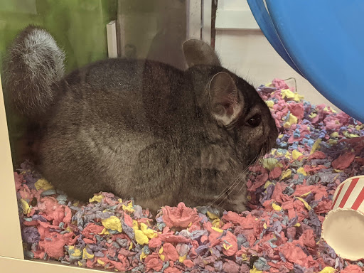 Pet Supply Store «PetSmart», reviews and photos, 11200 Fountains Way, Maple Grove, MN 55369, USA