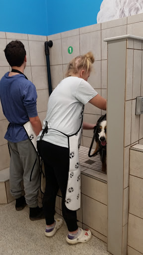 Pet Supply Store «Pet Supplies Plus», reviews and photos, 3984 Seneca St, West Seneca, NY 14224, USA