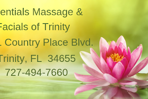 Essentials Massage & Facials of Trinity image