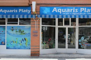 Aquaris Platy image