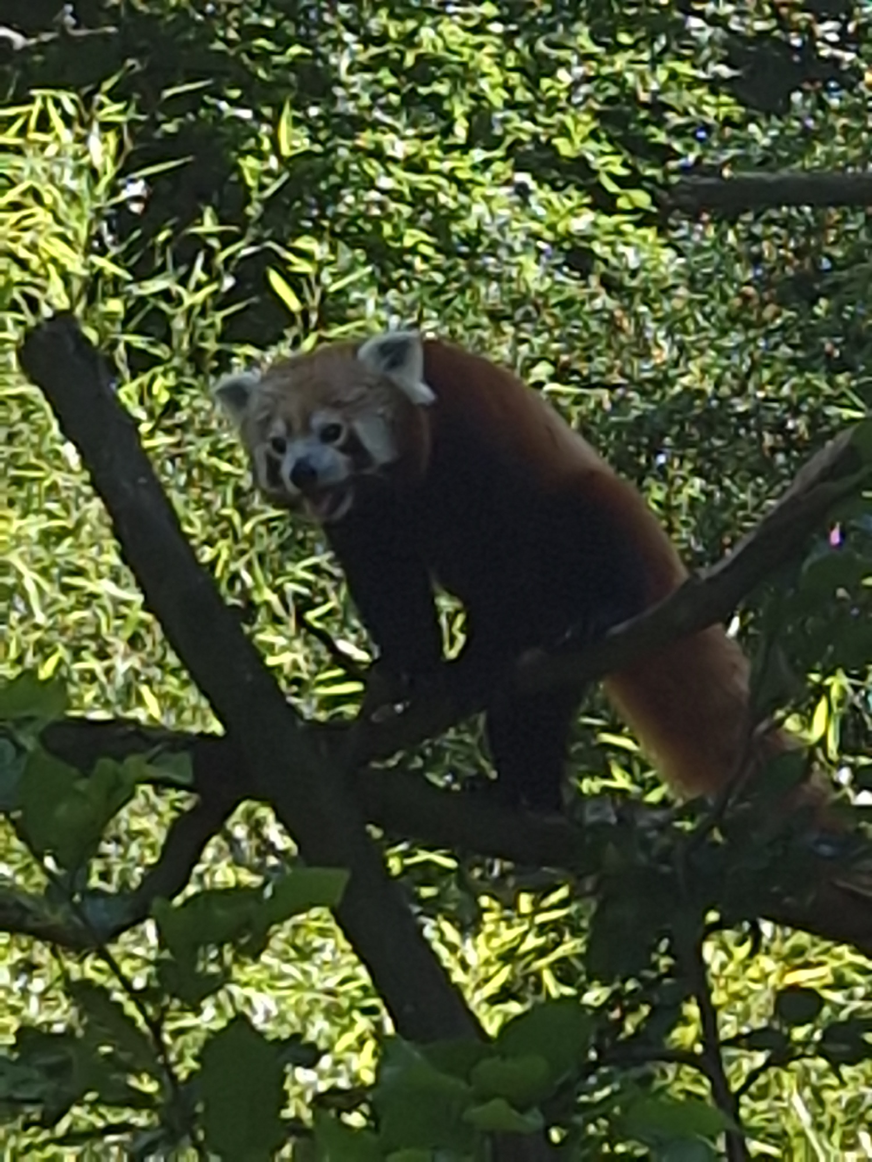 Photo n° 6 de l'avis de Delphine.l fait le 18/07/2023 à 13:34
