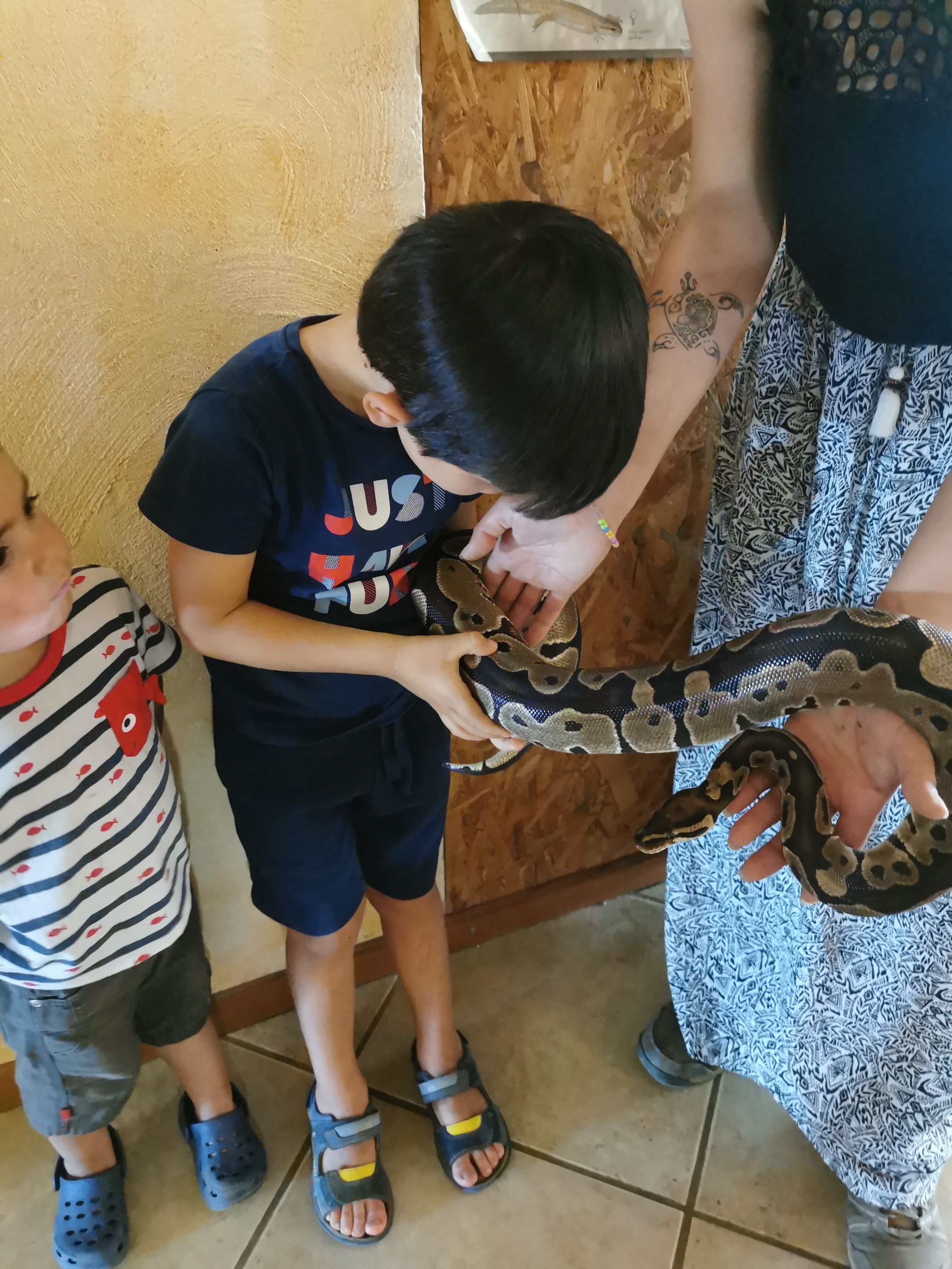 Photo n° 2 de l'avis de Jean-Renaud.e fait le 31/07/2023 à 11:20