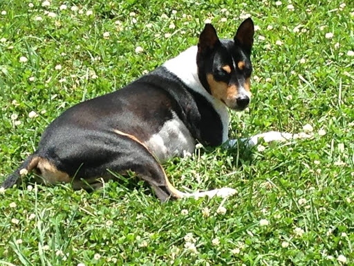 Red Barn Pet Care Center