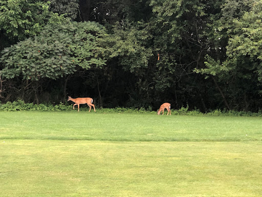 Golf Course «Fresh Pond Golf Course», reviews and photos, 691 Huron Ave, Cambridge, MA 02138, USA