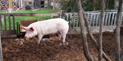 Ferme des Noues à Montaigu-Vendée