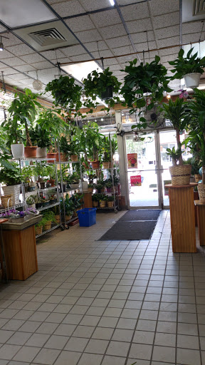 Florist «Ultima Florals», reviews and photos, 81-02 37th Ave, Jackson Heights, NY 11372, USA