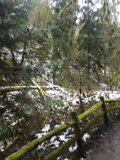 Park «Wallace City Park», reviews and photos, 1600 NW 25th Ave, Portland, OR 97210, USA