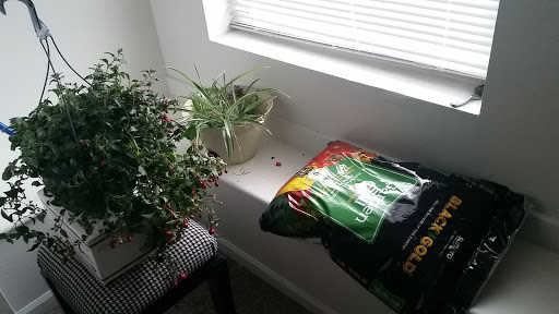 Hardware Store «Westlake Ace Hardware 059», reviews and photos, 1000 Westport Rd, Kansas City, MO 64111, USA