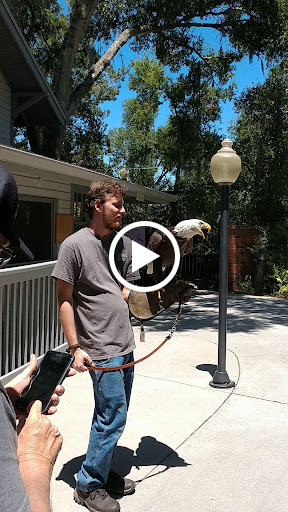 Zoo «Audubon Center for Birds of Prey», reviews and photos, 1101 Audubon Way, Maitland, FL 32751, USA