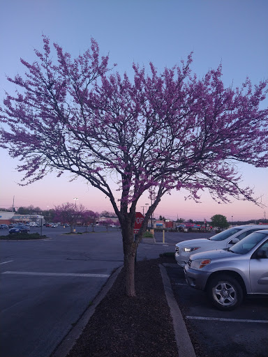 Department Store «Bed Bath & Beyond», reviews and photos, 2156 Gallatin Pike N, Madison, TN 37115, USA