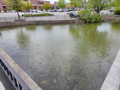 Shopping Mall «Creeks at Virginia Centre», reviews and photos, 9850 Brook Rd, Glen Allen, VA 23059, USA