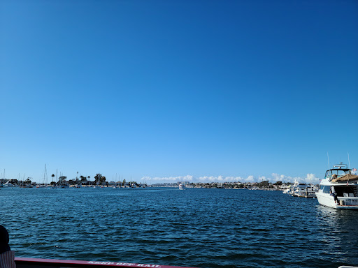 Grocery Store «Island Market», reviews and photos, 500 S Bay Front # A, Newport Beach, CA 92662, USA