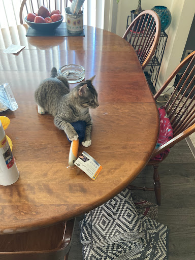 Pet Supply Store «Petco Animal Supplies», reviews and photos, 5925 US-6, Portage, IN 46368, USA