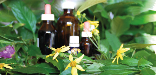 Herbal Medicine Online