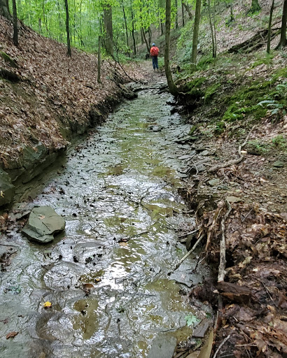 Nature Preserve «Laura Hare Nature Preserve at Downey Hill», reviews and photos, Valley Branch Rd, Nashville, IN 47448, USA