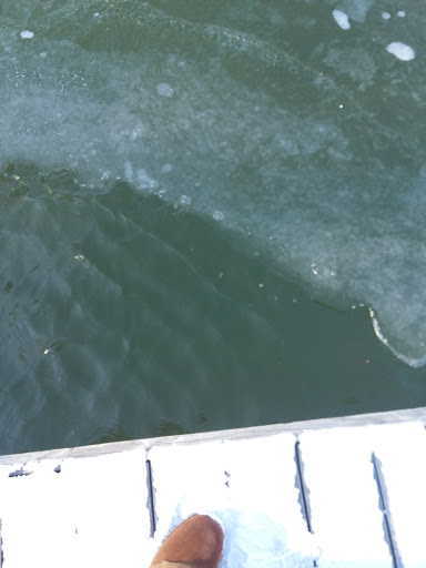 Boat Dealer «Lake Country Marine», reviews and photos, 13721 Anna Point Ln, Mineral, VA 23117, USA