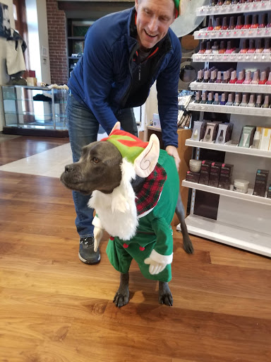 Hair Salon «Bell Tower Salon Spa», reviews and photos, 18 State Hill Rd, Wyomissing, PA 19610, USA