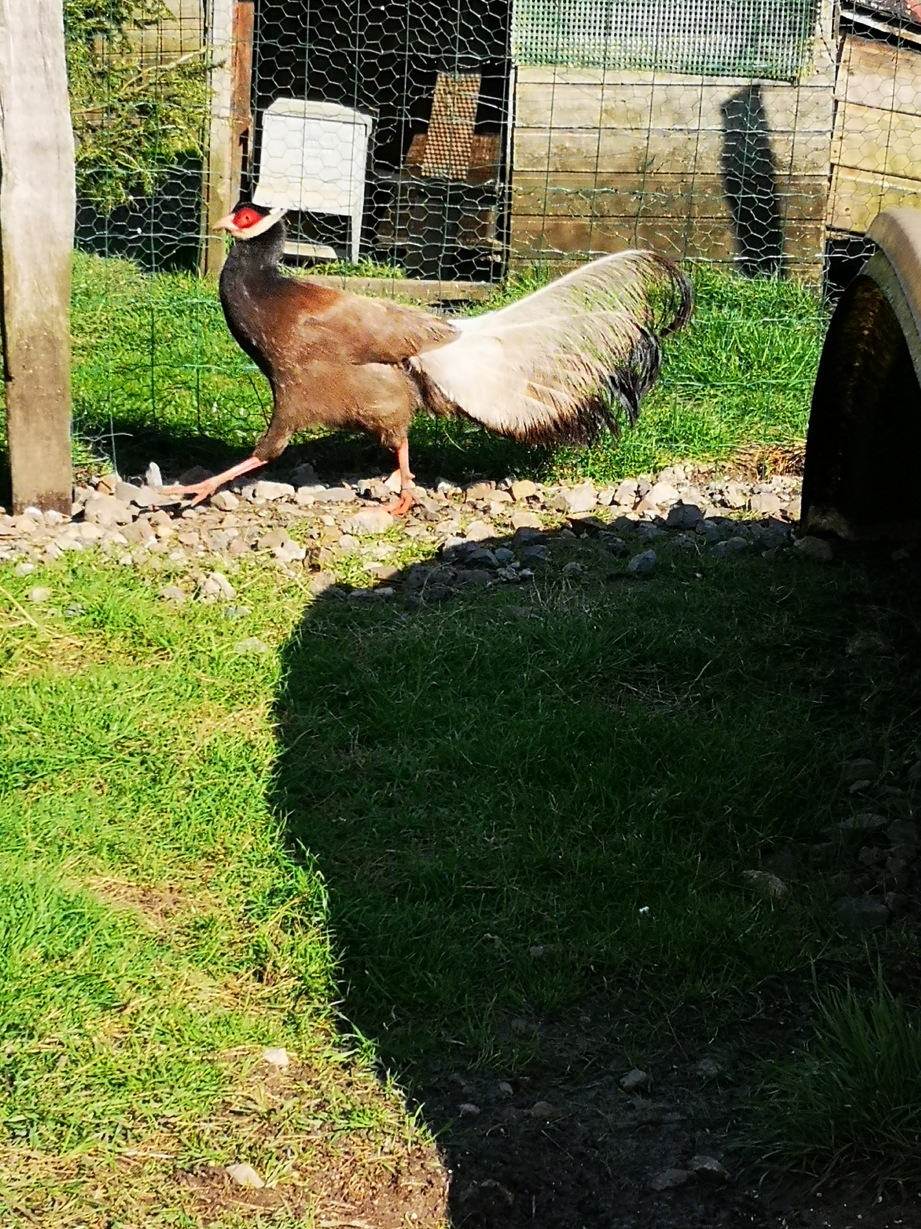 Photo n° 5 de l'avis de séverine.a fait le 20/03/2019 à 19:13