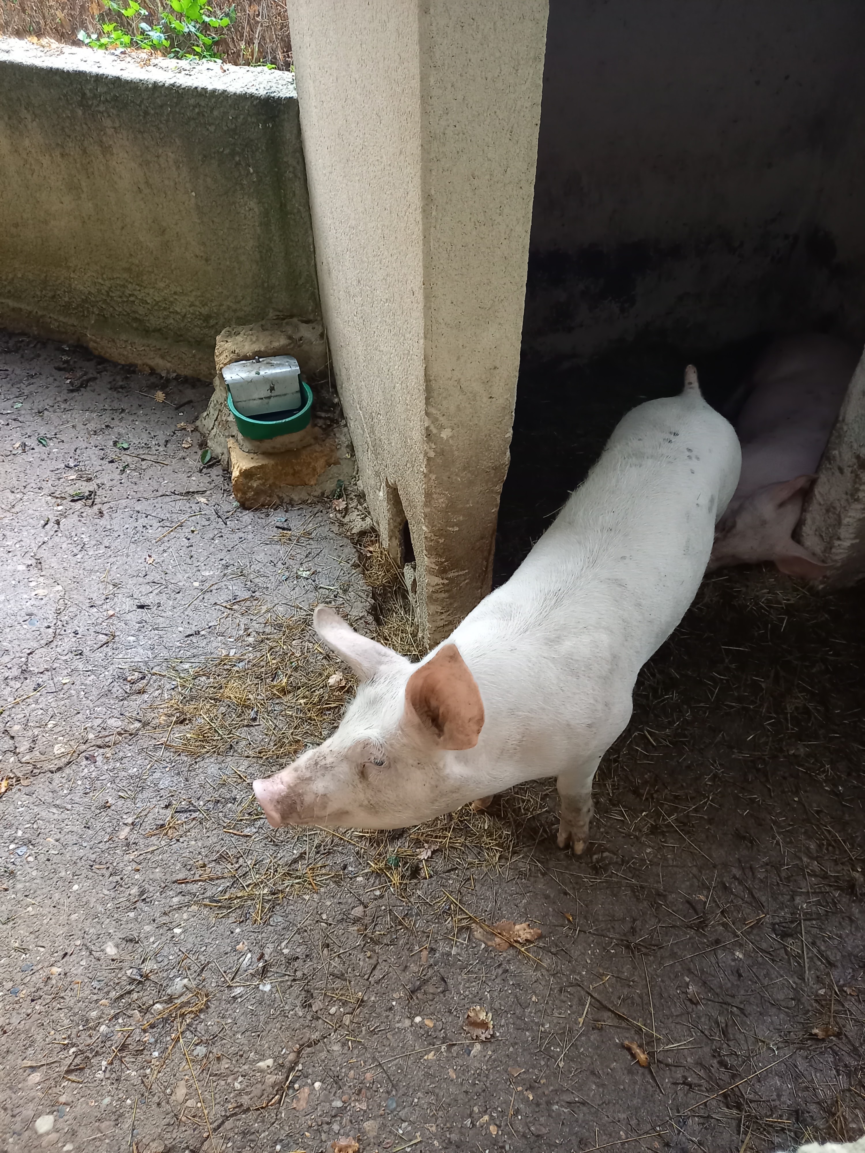 Photo n° 1 de l'avis de Maëva.A fait le 25/09/2023 à 09:00