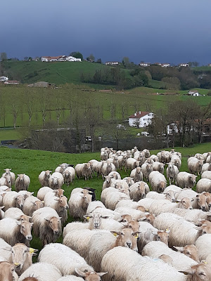 Vente fromage à la ferme Larramendy à Hasparren