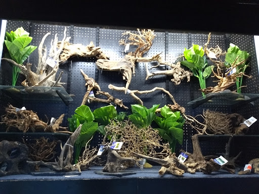 Pet Store «Laconia Pet Center», reviews and photos, 1343 Union Ave, Laconia, NH 03246, USA