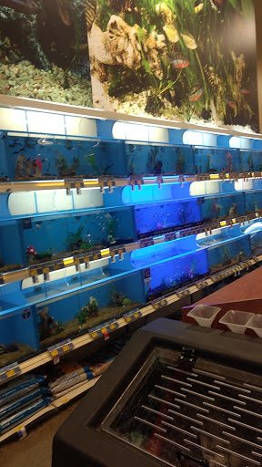 Pet Supply Store «PetSmart», reviews and photos, 3096 N Eastman Rd, Longview, TX 75605, USA