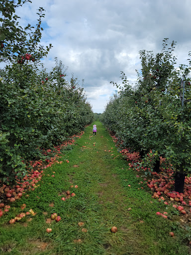 Farm «Alstede Farms», reviews and photos, 1 Alstede Farms Ln, Chester, NJ 07930, USA