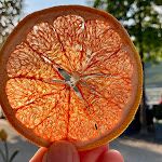 Photo n°2 de l'avis de Mad.i fait le 24/06/2023 à 10:19 sur le  Riverside à Bingen