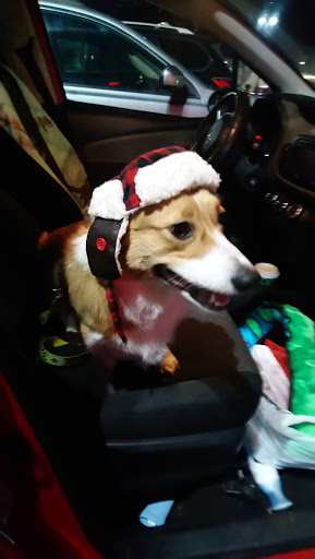 Pet Supply Store «Petco Animal Supplies», reviews and photos, 95 U.S. 9, Englishtown, NJ 07726, USA