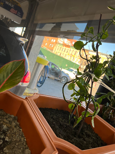 Car Wash «Giant Car Wash Inc», reviews and photos, 664 Coney Island Ave, Brooklyn, NY 11218, USA