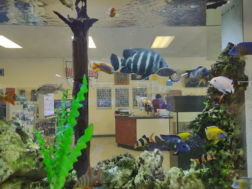Aquarium Shop «Wet Pets by Steve», reviews and photos, 504 W Main St, Norman, OK 73069, USA