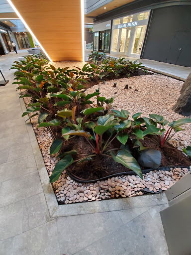 Perfume Store «Acqua di Parma», reviews and photos, 701 S Miami Ave, Miami, FL 33130, USA