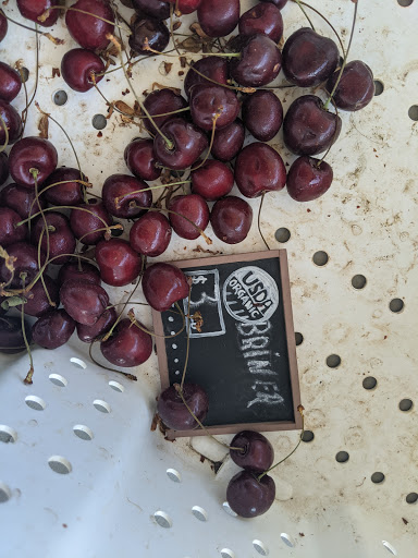 Tourist Attraction «Tonnemaker Valley Farm & Woodinville Farm Stand», reviews and photos, 16215 140th Pl NE, Woodinville, WA 98072, USA