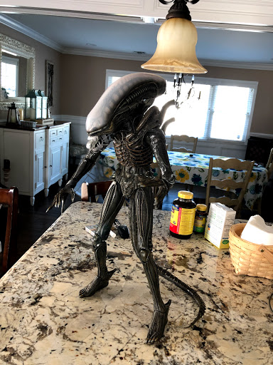 Toy Store «Amok Time Toys and Comics», reviews and photos, 108C New South Rd, Hicksville, NY 11801, USA