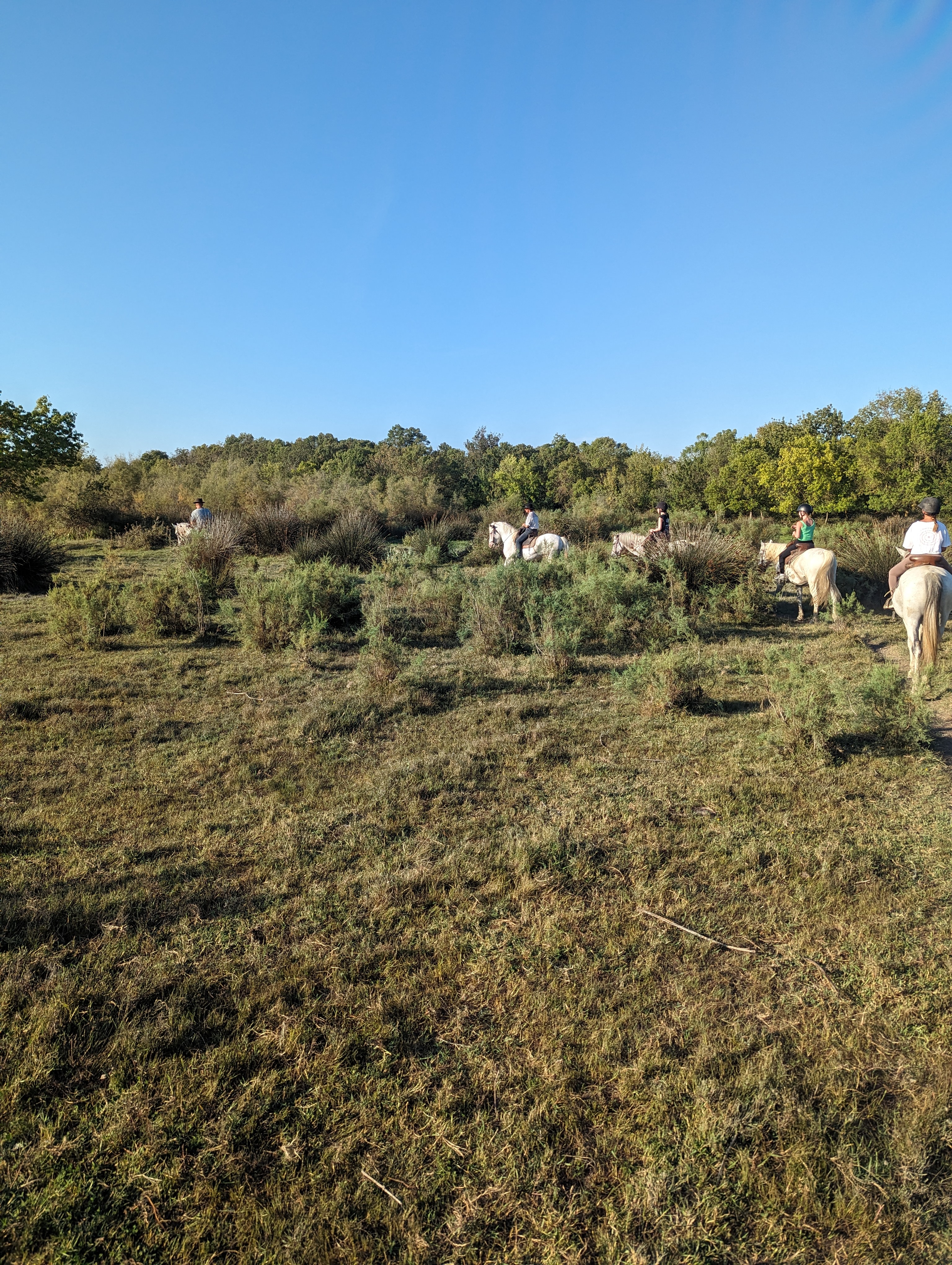 Photo n° 1 de l'avis de Ludovic.t fait le 13/09/2023 à 16:50