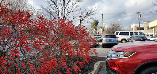 Shipping and Mailing Service «The UPS Store», reviews and photos, 6024 Ridge Ave, Philadelphia, PA 19128, USA