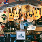 Photo n°3 de l'avis de Stefania.e fait le 13/08/2021 à 12:21 sur le  Trattoria Castellinaria à Casalecchio di Reno