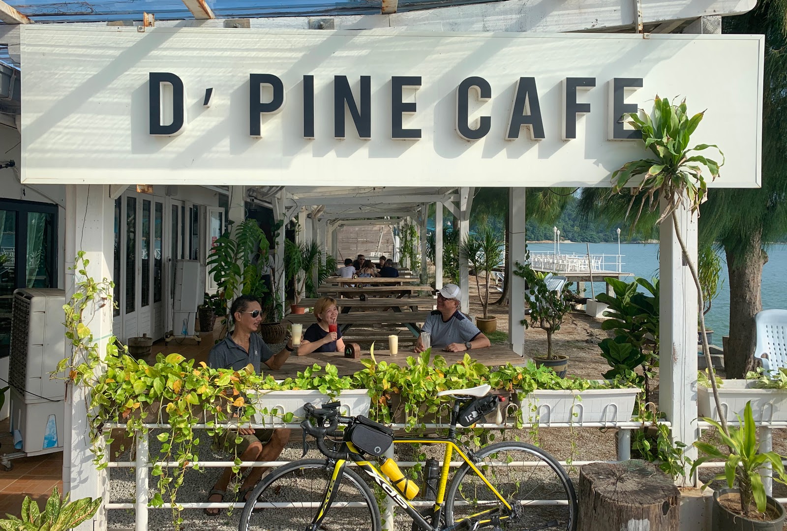 D pine cafe