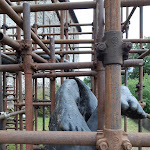 Photo n°5 de l'avis de Dinant.i fait le 24/07/2020 à 21:01 sur le  Castel Pergine à Pergine Valsugana