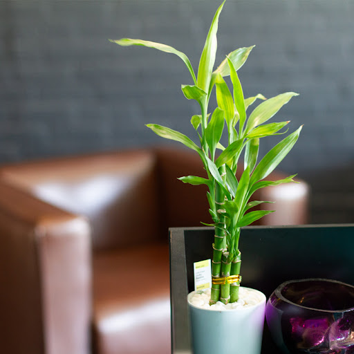 Explore full hand tattoo ideas, creative tattoo ideas in Minneapolis, available at Temaki Tattoo