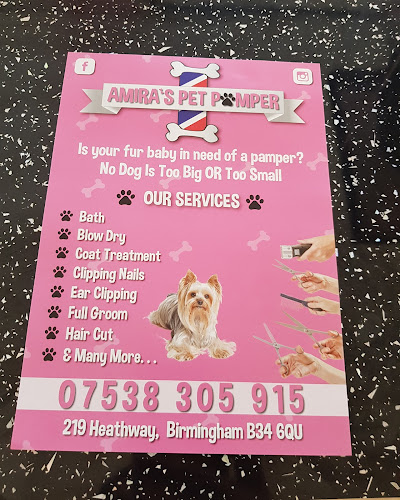 Reviews of Amira pet pamper in Birmingham - Dog trainer