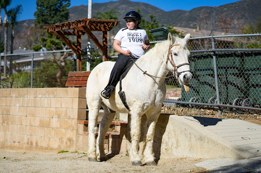 Rising Stars Equestrian Therapy